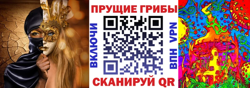 мега как войти Болгар Галлюциногенные грибы Cubensis